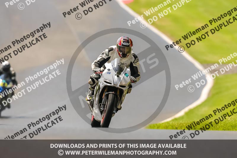 PJ Motorsport Photography 2020;anglesey;brands hatch;cadwell park;croft;donington park;enduro digital images;event digital images;eventdigitalimages;mallory;no limits;oulton park;peter wileman photography;racing digital images;silverstone;snetterton;trackday digital images;trackday photos;vmcc banbury run;welsh 2 day enduro